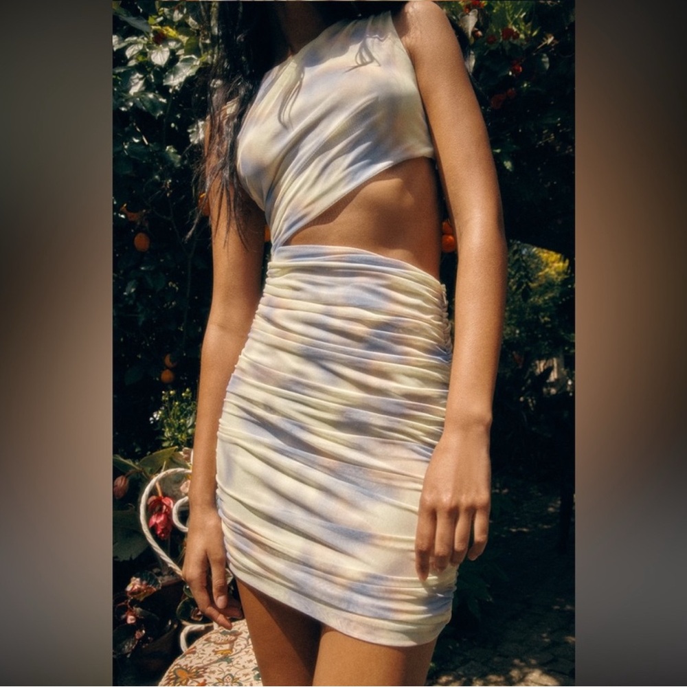 NWT Zara cut out mini tulle dress